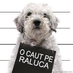 Aici se pot pune orice fel de poze - hai k pun si eu o poza... dar dak o gasiti pe - POZE
