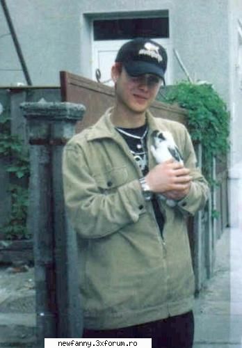 HIENA - o poza cu HIENA - ANIMAL X