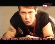 animal x - pe net poze din cu animal x