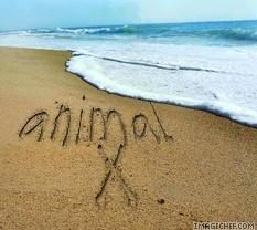 paii iata ca am mai trecut pe la voi...... :hi:  :hi:  :hi: 
 
 :nebun:  :nebun:  :nebun: cu parul